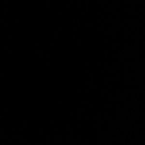 Meet your Posher, Amira